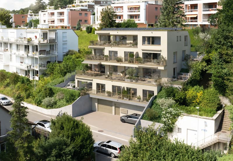 A modern, multi-story house with balconies, large windows, and a garage, surrounded by greenery and neighboring houses.
