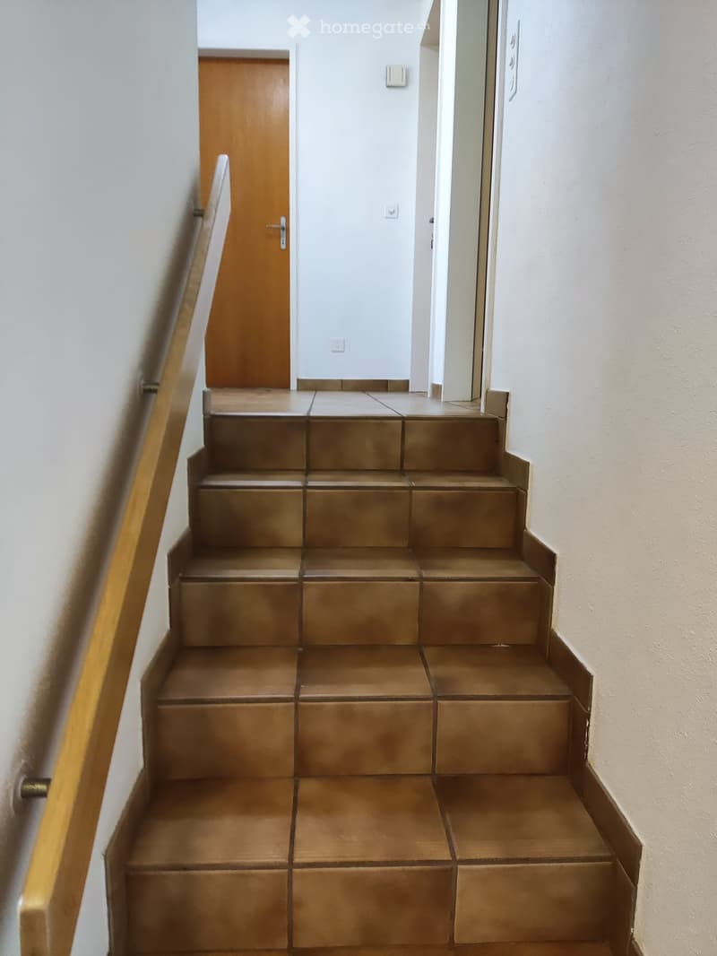 Staircase with brown tiled steps and a wooden handrail, leading to a closed wooden door at the top.