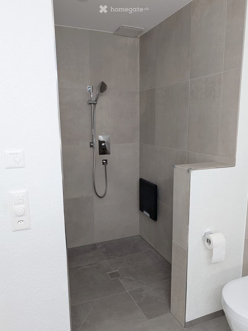 Modern bathroom with grey tiled walls and floor, featuring a shower area with a handheld showerhead, a wall-mounted shelf, and a toilet with a toilet paper holder.
