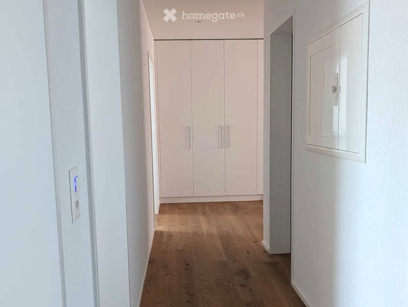 Modern hallway with light wooden flooring, white walls, built-in white storage units, and a small mirror on the right wall.