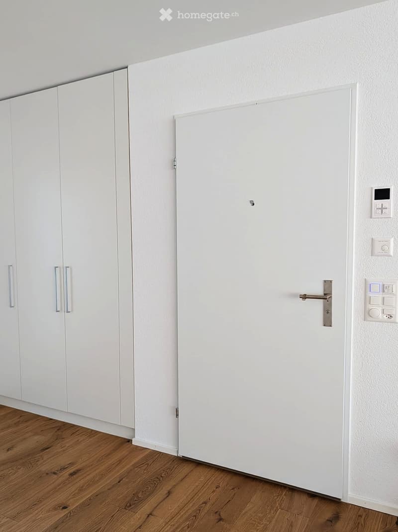 A modern hallway with white walls, wooden flooring, white cabinets, and a closed white door with a silver handle.