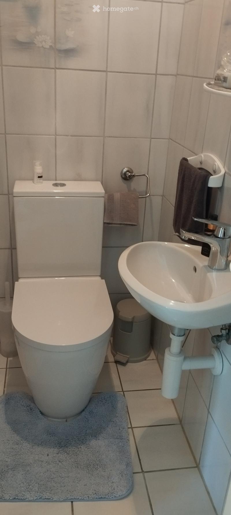 Modern bathroom with a toilet, sink, towel, and trash bin. The floor is tiled, and there is a blue bath mat in front of the toilet.