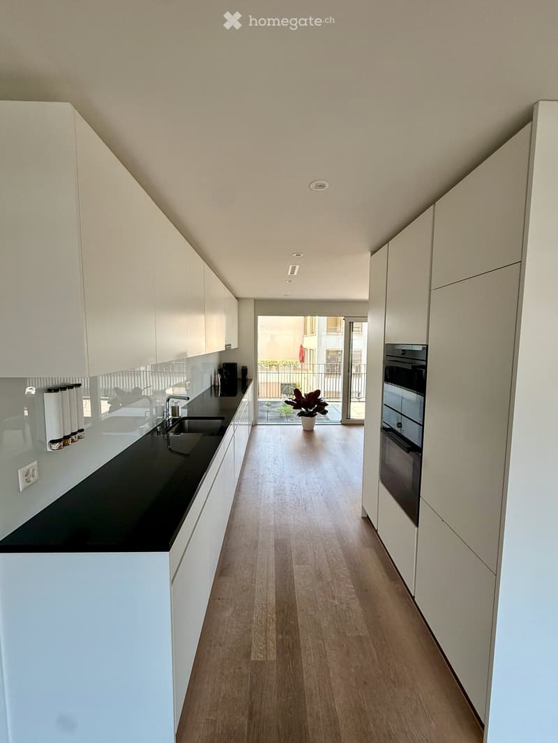 Modern kitchen with white cabinets, black countertop, wooden flooring, and a sink with a faucet. An oven is visible on the right side, and a small potted plant is placed on the floor near the balcony entrance.