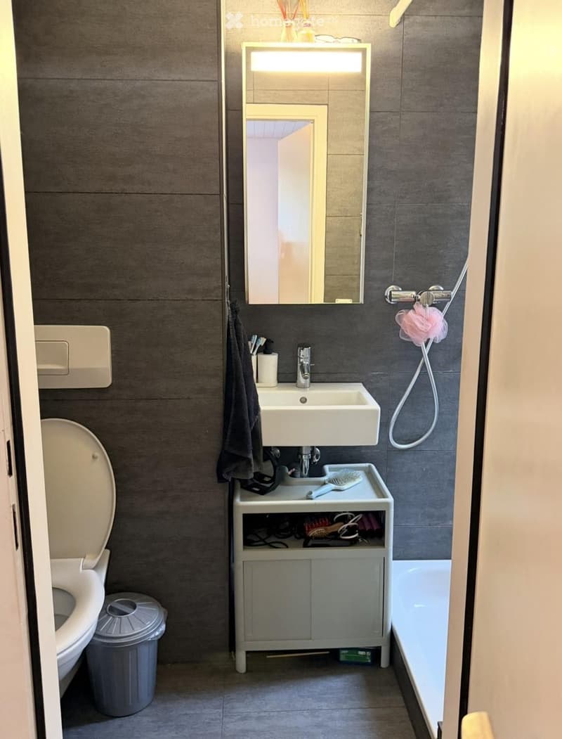 Modern bathroom with dark grey tiles, white sink, mirror, toilet, and a small cabinet under the sink holding toiletries.