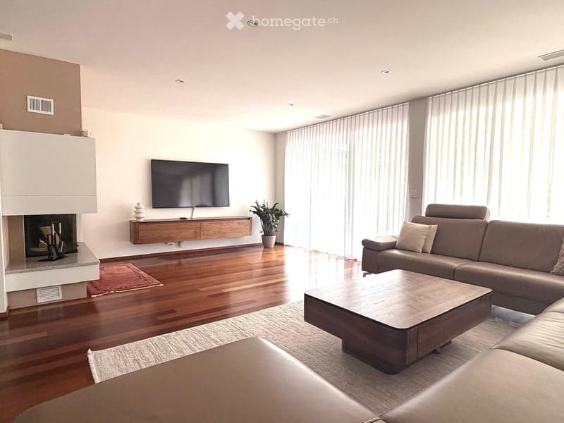 Modern living room with hardwood floors, large windows, fireplace, sofa, coffee table, TV, and decorative plant.