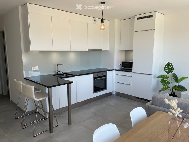Modern kitchen and living area with white cabinets, black countertop, bar stools, dining table, sofa, and a potted plant.