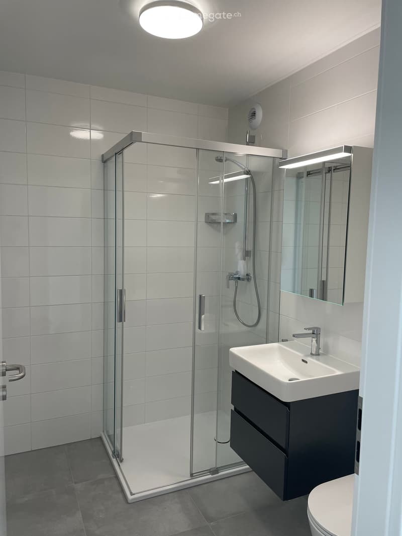 Modern bathroom with a glass-enclosed shower, a white sink with a dark cabinet, a toilet, and a large mirror with built-in lighting.