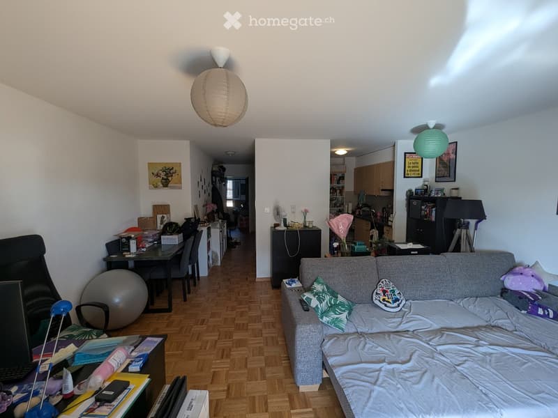 A multi-functional living space with a grey sofa, a large exercise ball, a dining table with chairs, a laptop on a desk, and a kitchen area with cabinets and a refrigerator.