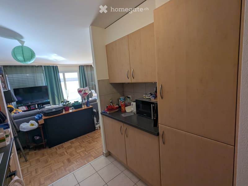 A combined living room and kitchen area with a sofa, coffee table, TV, microwave, and wooden cabinets.
