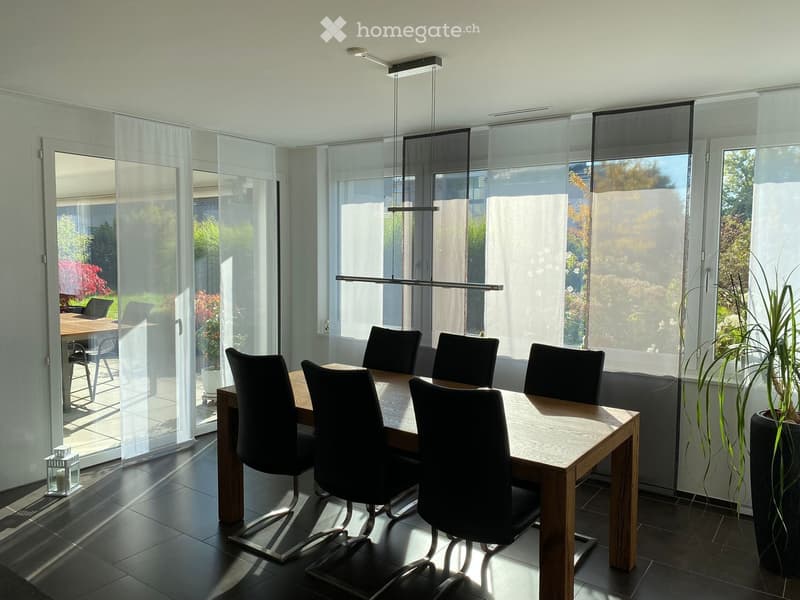 Modern dining room with a wooden dining table, six black chairs, large windows with roller shades, and a potted plant near the window.