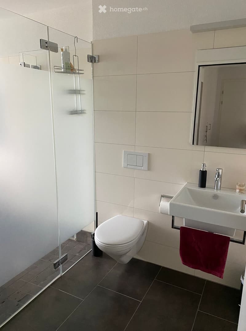 Modern bathroom with a white toilet, sink, and mirror. Features a glass shower enclosure with a shelf and a red towel hanging on a rack.