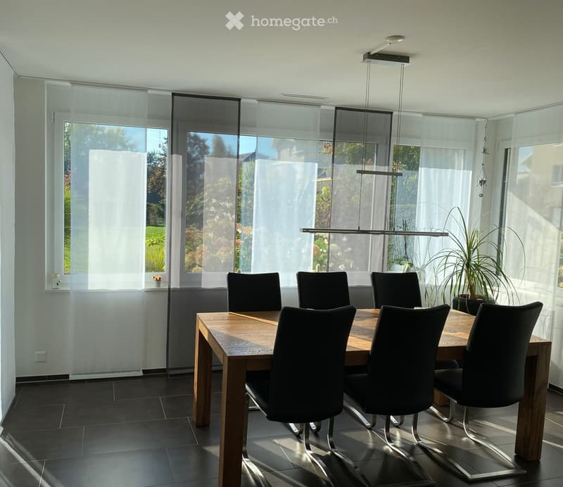 Modern dining room with a wooden dining table, six black chairs, large windows with sheer curtains, and a potted plant in the corner.