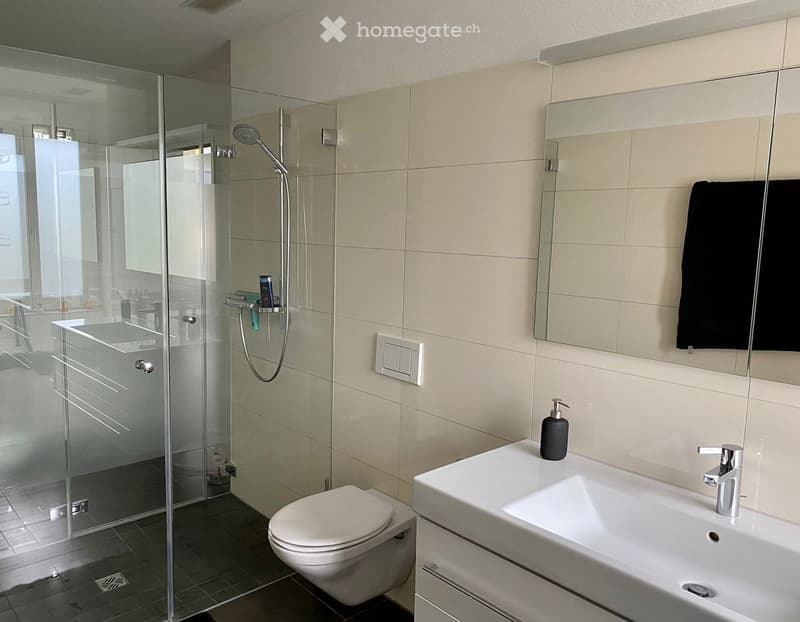 Modern bathroom with a white sink, toilet, glass-enclosed shower, and a large mirror. Features a sleek faucet, soap dispenser, and a black towel hanging on the mirror.