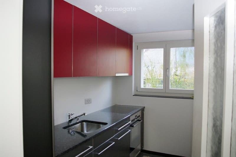 Modern kitchen with red upper cabinets, stainless steel sink, and countertop. Features a window with a view of trees outside.