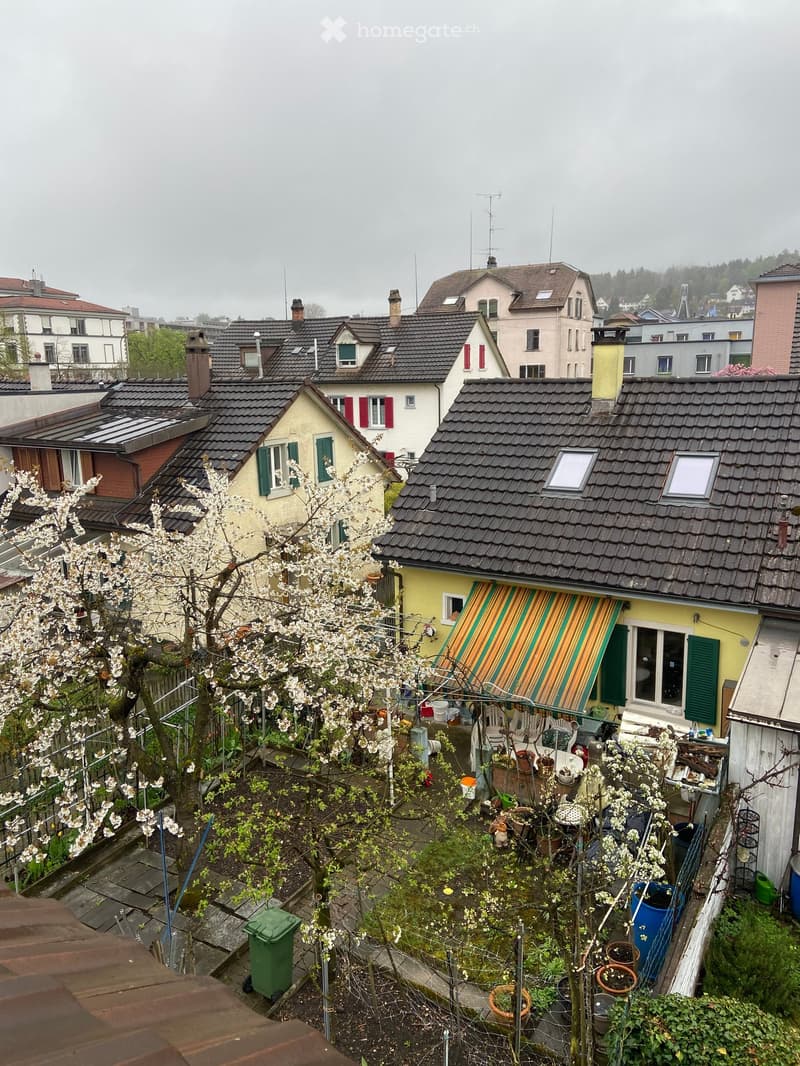 A rooftop garden with potted plants, a tree in bloom, and outdoor furniture, surrounded by neighboring houses with pitched roofs and chimneys.