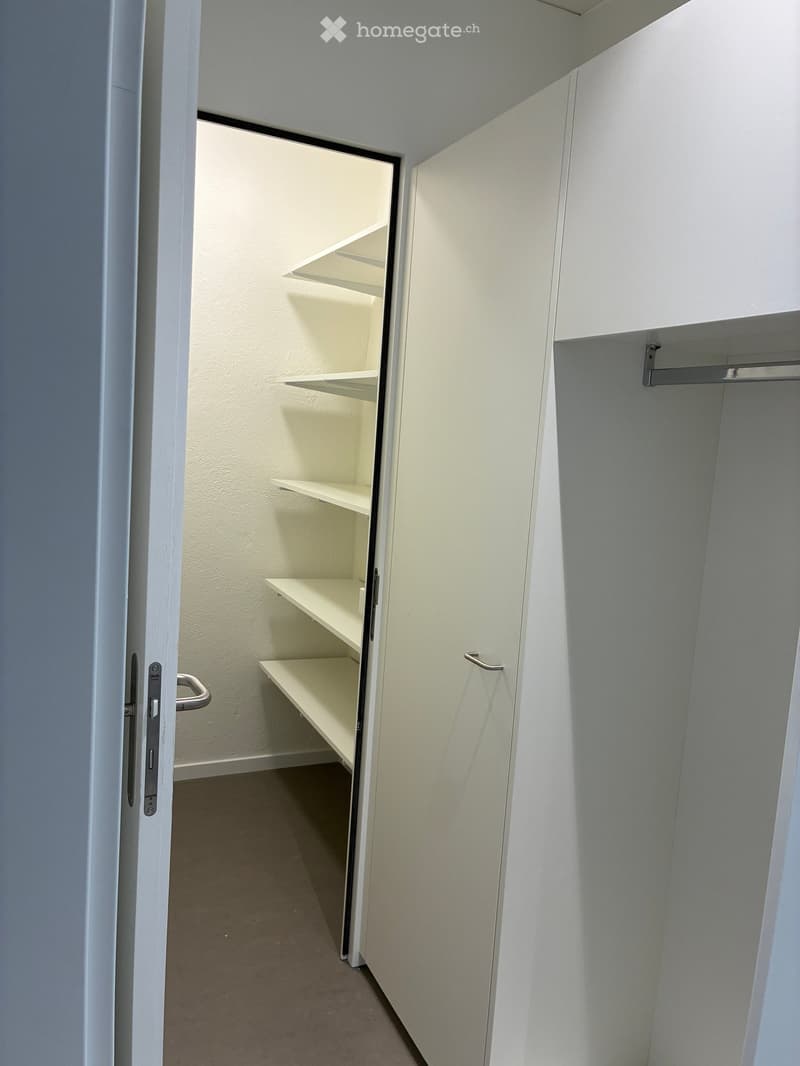Empty closet with white walls, carpeted floor, built-in shelves, and a hanging rod.