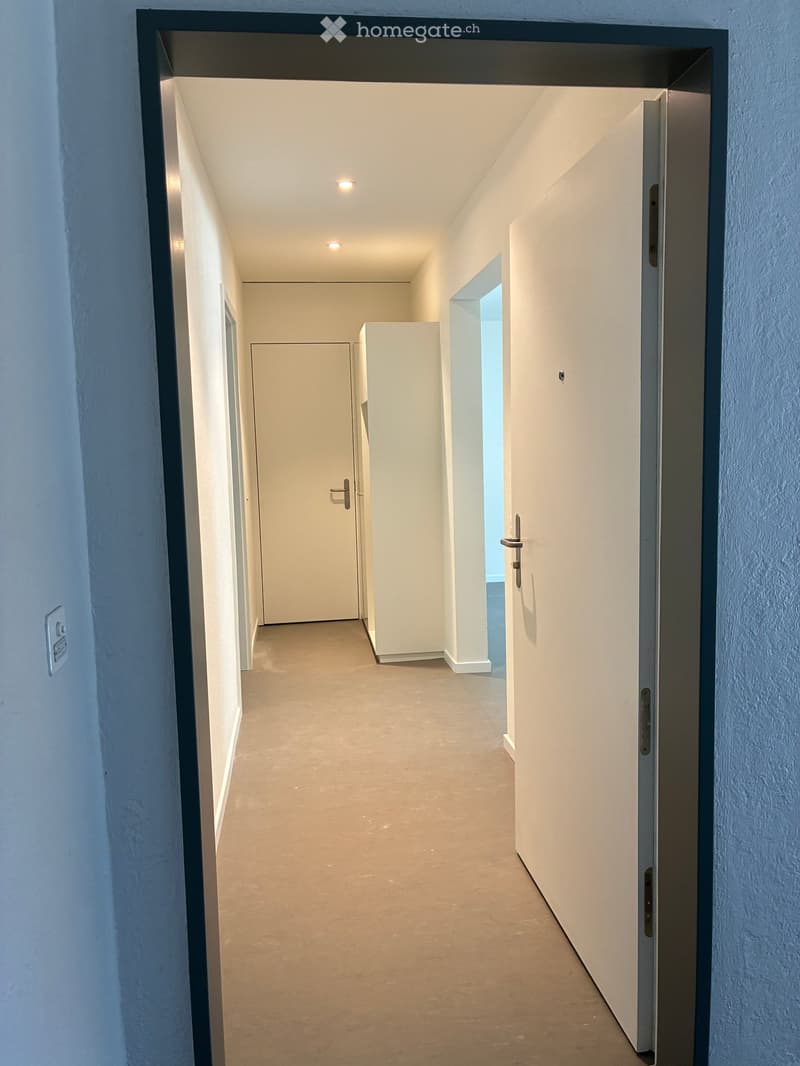 Empty hallway with white walls, gray carpeted floor, and two closed doors on either side.