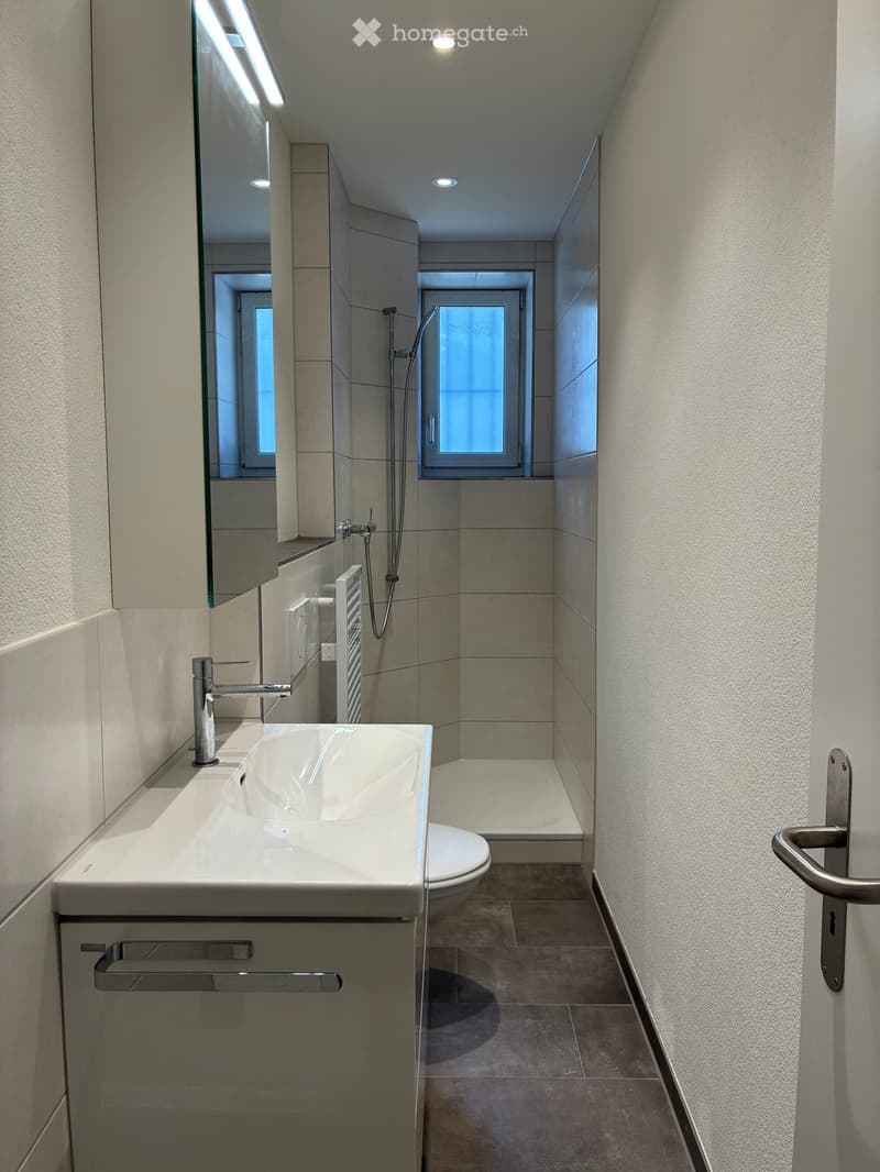 Modern bathroom with a white sink, chrome faucet, toilet, shower area, and built-in cabinet with mirror.