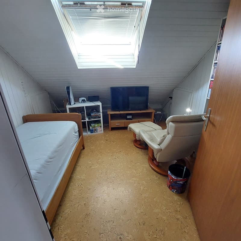 Cozy attic bedroom with a single bed, sofa, chair, TV, and shelf. The room features wooden walls and a skylight window.
