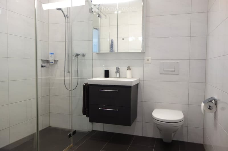 Modern bathroom with white tiles, a black vanity cabinet, a white sink, a mirror, a shower, and a toilet. Includes a towel and toilet paper holder.