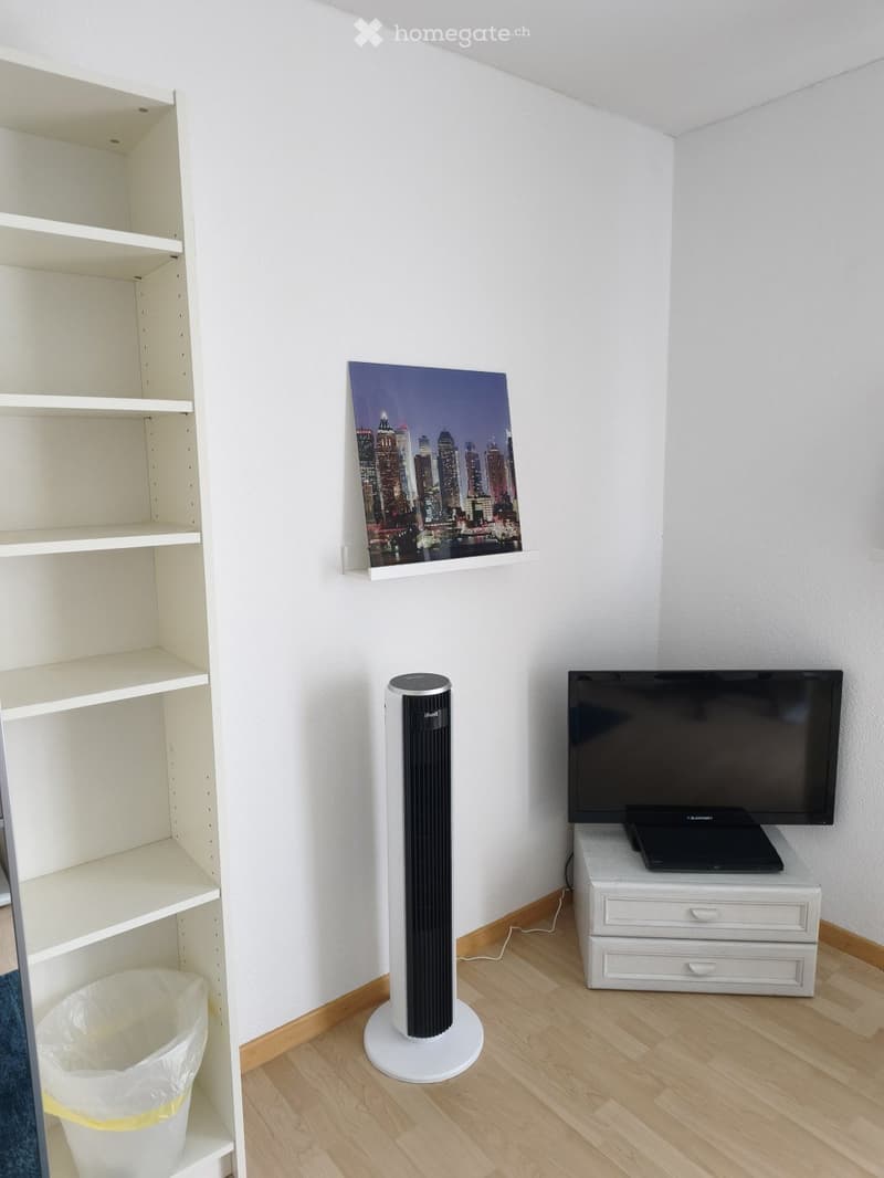 A modern, minimalist room with a white shelf, a tall fan, a TV on a small table, and a picture frame on the wall.