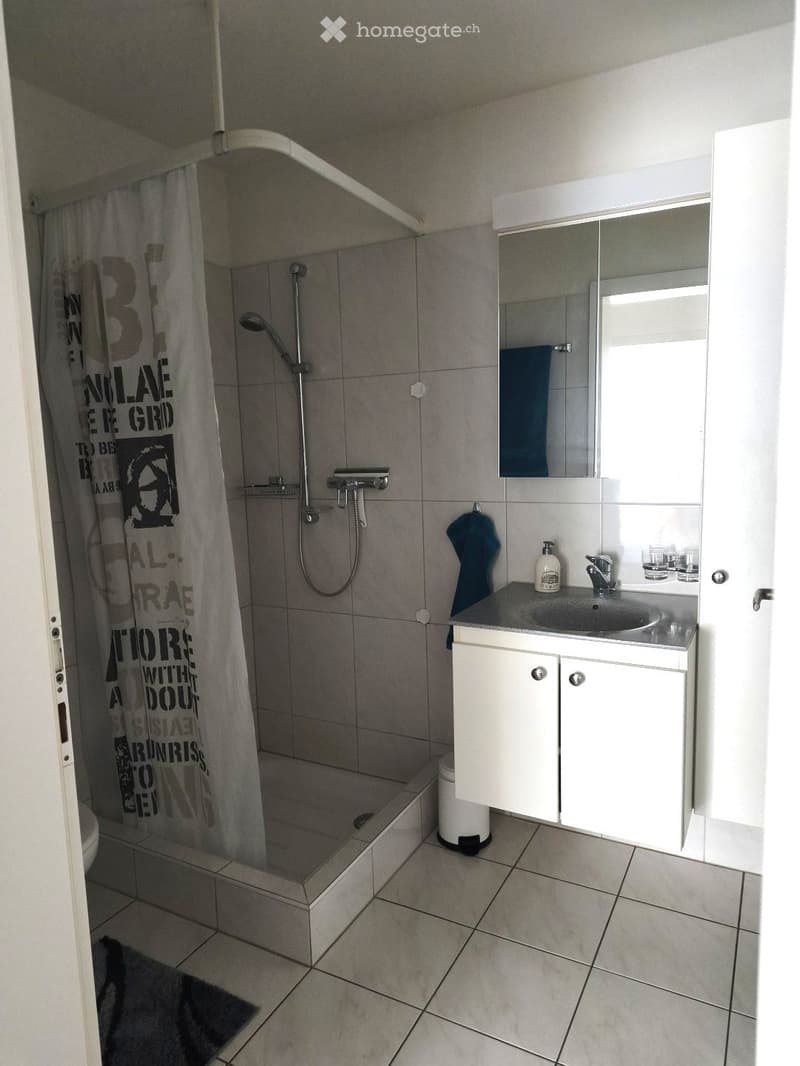 Modern bathroom with a walk-in shower, tiled walls, a sink with a mirror cabinet, and a toilet. The shower has a glass curtain with text, and the sink area includes a bottle and a towel.