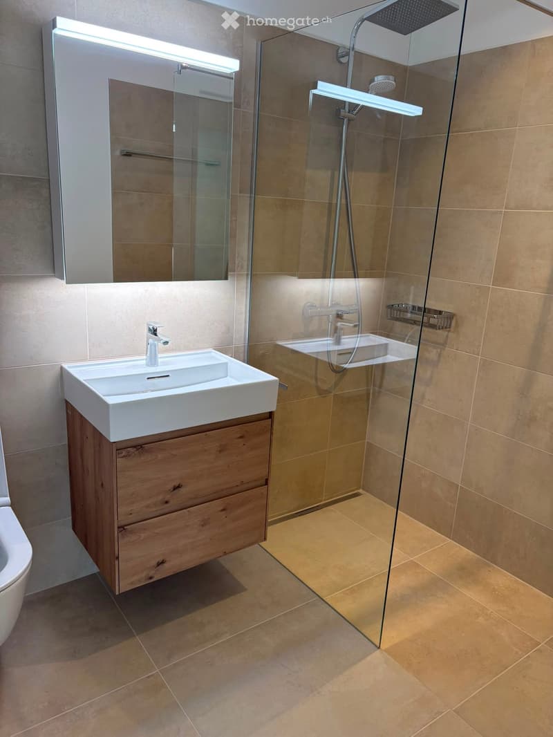 Modern bathroom with a white sink, wooden cabinet, glass shower enclosure, and a large mirror with built-in lighting.