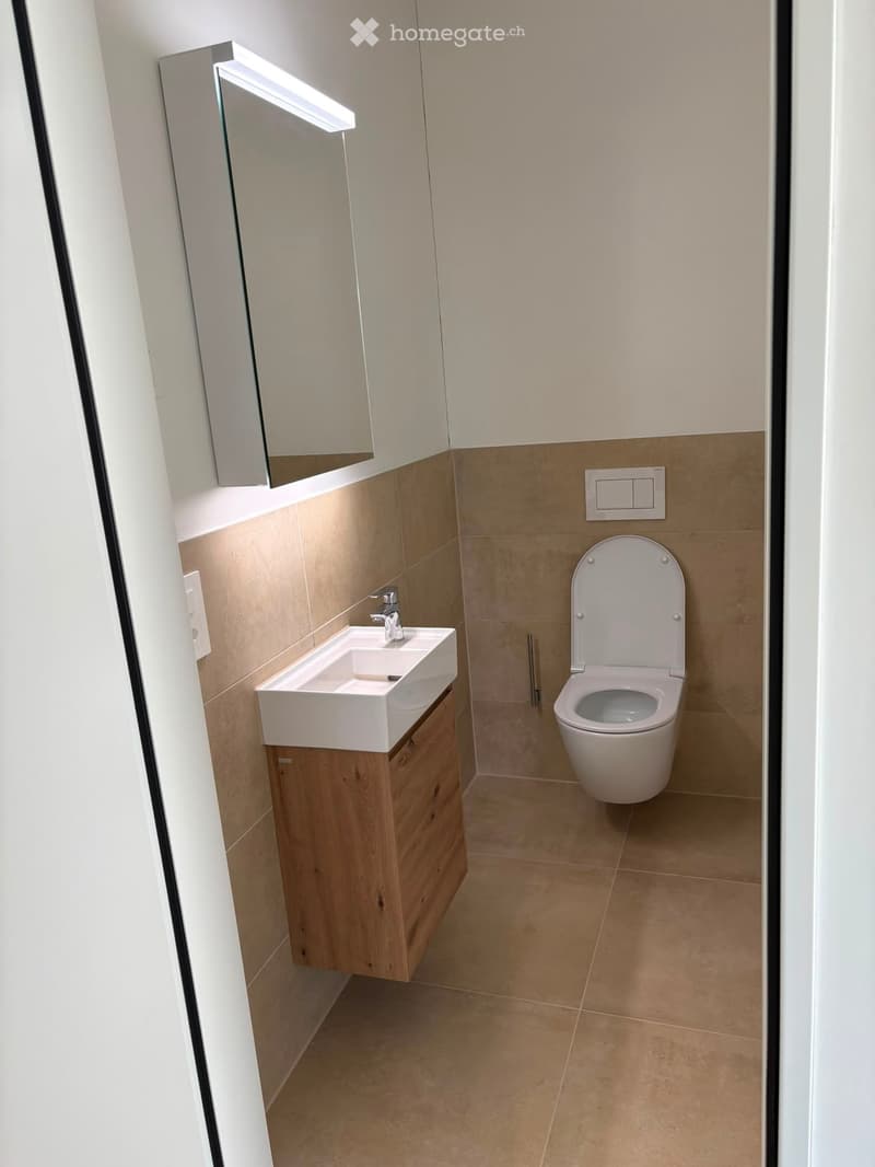 Modern bathroom with a white sink, wooden cabinet, chrome faucet, toilet, and a mirrored cabinet with built-in lighting.