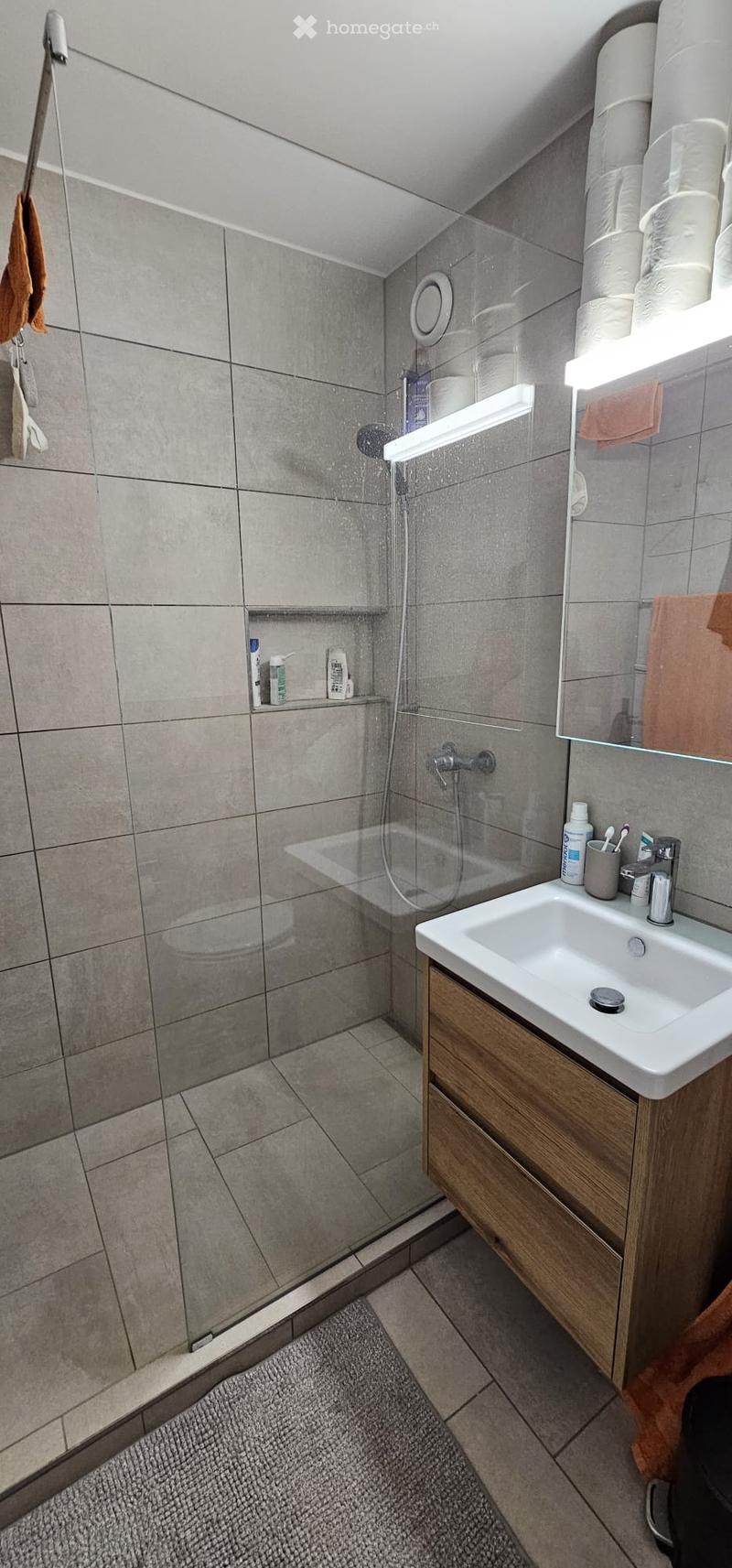 Modern bathroom with a glass-enclosed shower, a white sink with a wooden cabinet, a mirror, and a toilet. The shower has a built-in shelf with toiletries, and the sink area includes a toothbrush holder and toothpaste. Towels are neatly hung on the wall.