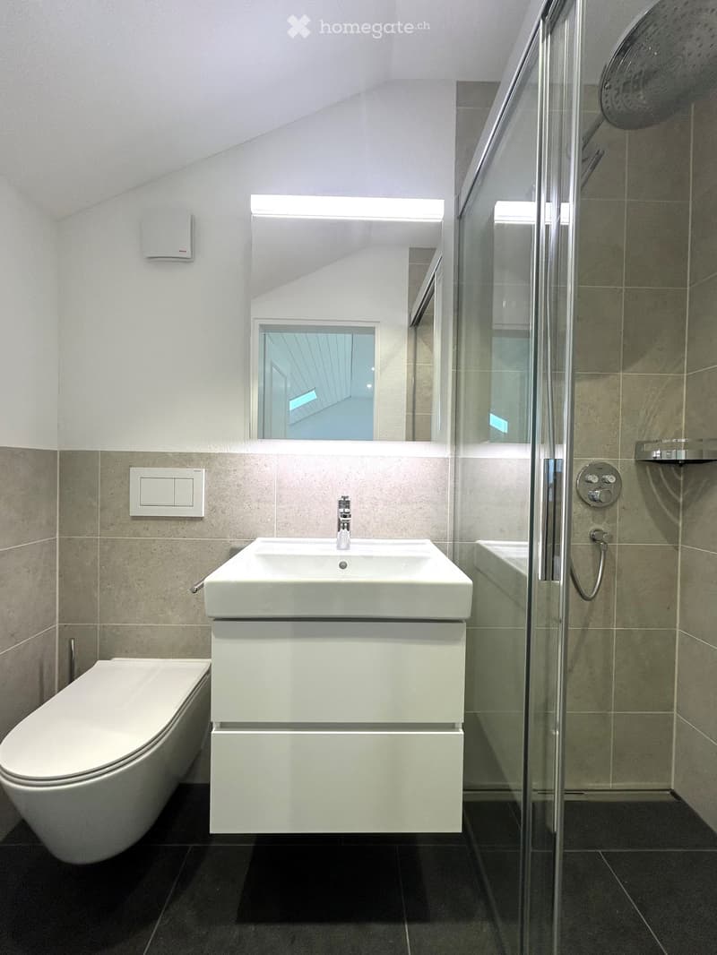 Modern bathroom with a white sink, toilet, and glass-enclosed shower. Features a large mirror above the sink and a sleek, contemporary design.