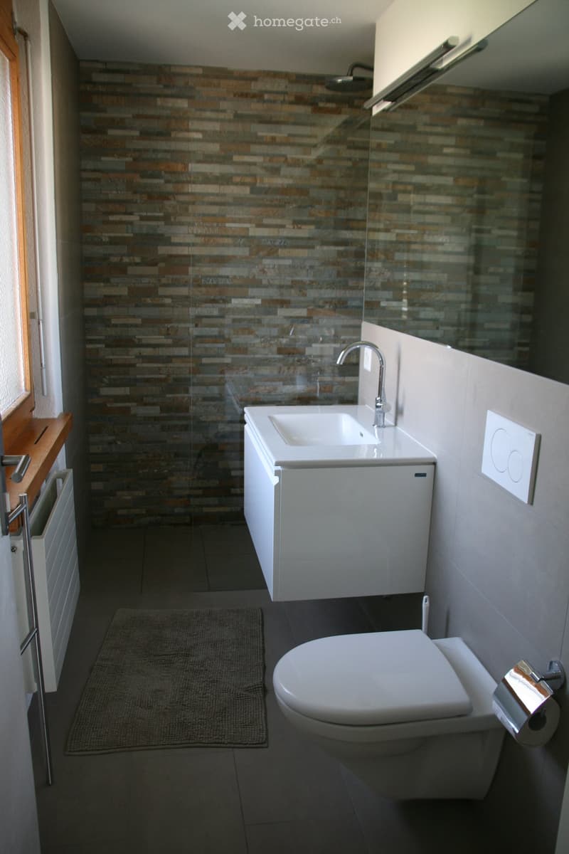 Modern bathroom with a white sink, chrome faucet, toilet, and a glass-enclosed shower area with a stone-tiled wall. Includes a small bathroom rug and a toilet paper holder.