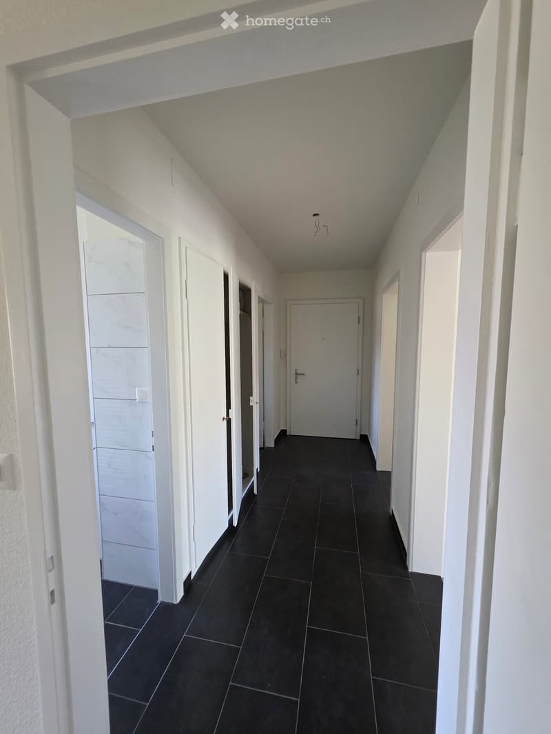 Charmante 3-Zimmer-Altbauwohnung mit Balkon in Zürich-Wollishofen (2)