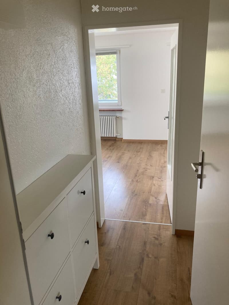 Empty hallway with wooden flooring, white walls, and a visible room at the end with a window and radiator.