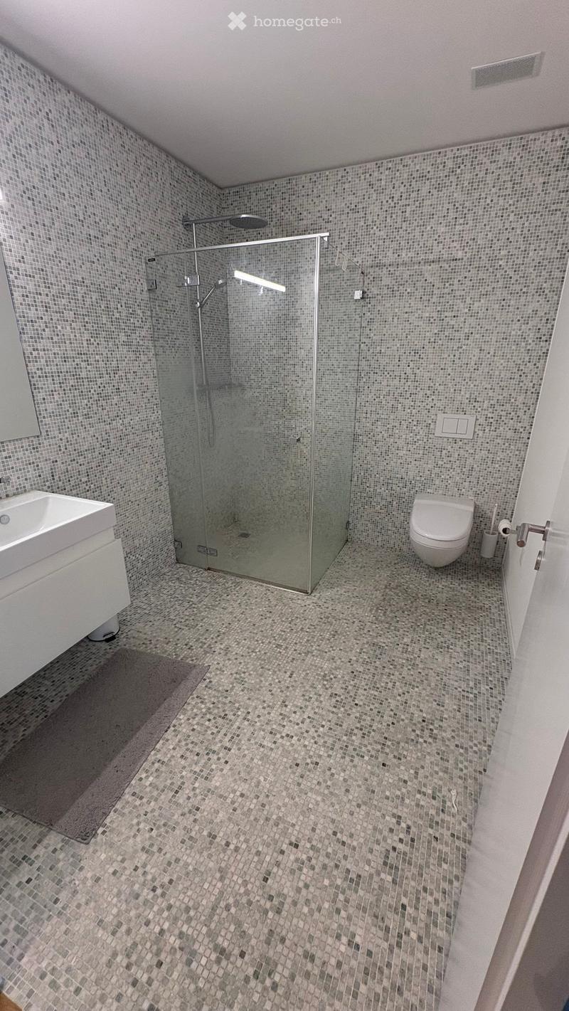 Modern bathroom with mosaic tiles, glass-enclosed shower, white sink, and toilet.