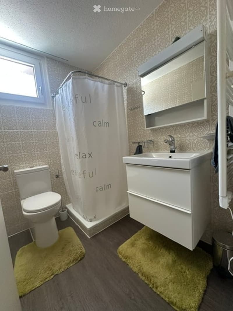 Modern bathroom with a white sink, toilet, and shower area. Features a decorative shower curtain with calming words, a mirror cabinet, and two yellow rugs on the wooden floor.