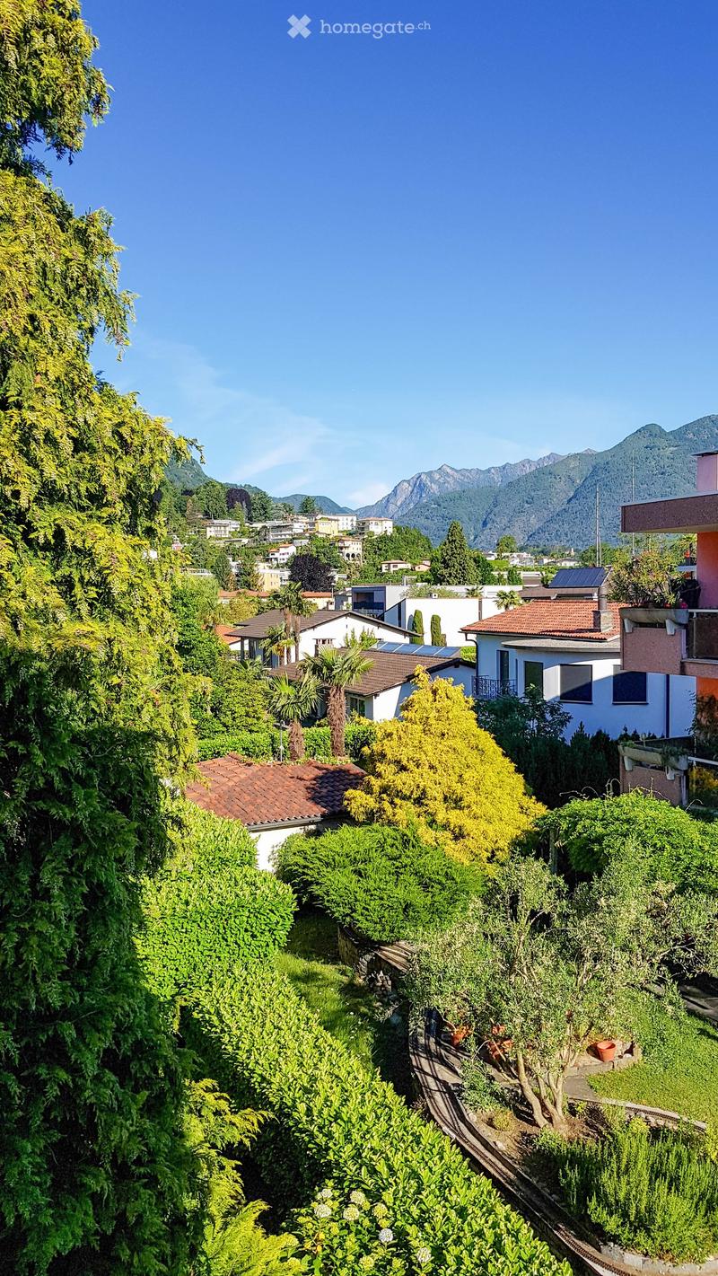 Garden with various plants, trees, and a small pathway. Houses and mountains in the background.