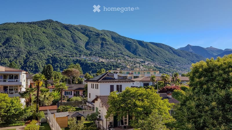 Houses in a town with mountains in the background, surrounded by trees and plants