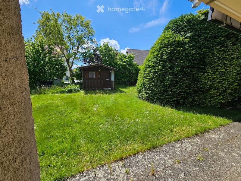 Lush green garden with a small wooden shed, surrounded by trees and bushes, under a clear blue sky.