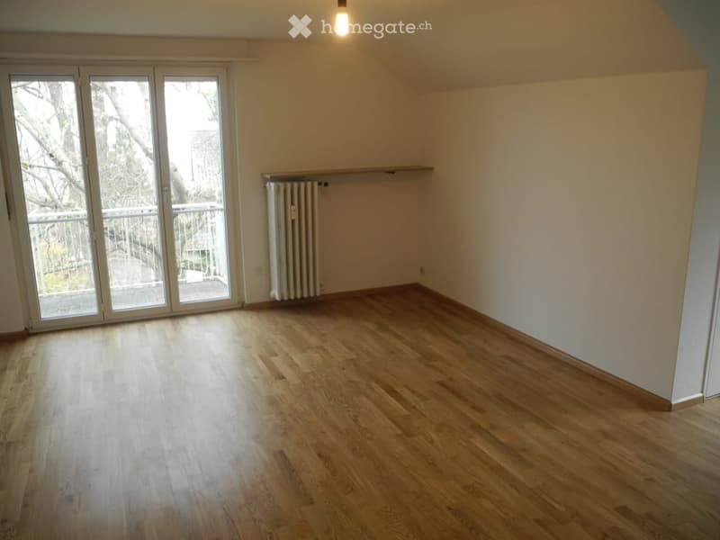 empty room, wooden floor, sliding glass doors, balcony, white walls, white radiator