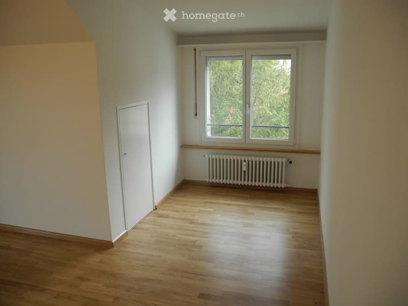 empty room, wooden floor, white walls, window, radiator