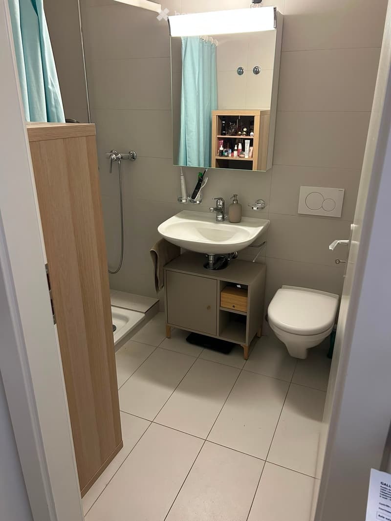Modern bathroom with a white sink, toilet, mirror, and wooden cabinet. Features a shower stall with a glass door and a towel hanging on the side.