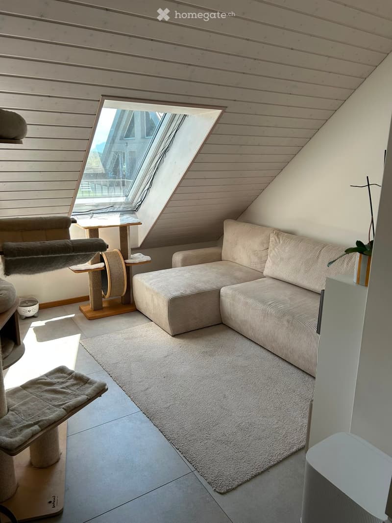 Cozy attic room with slanted wooden ceiling, skylight window, beige sofa, cat tree, small table, and a white rug.