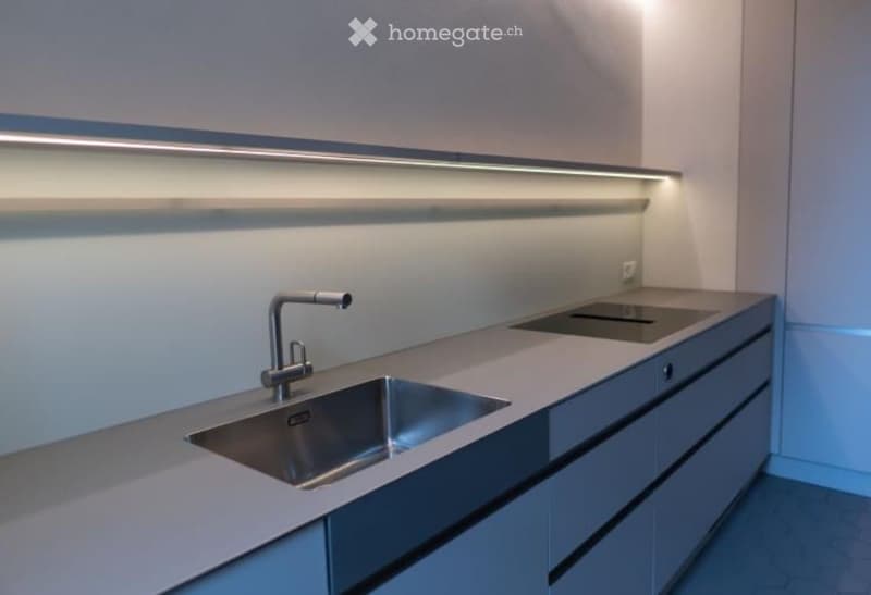 Modern kitchen with a sleek, minimalist design featuring a stainless steel sink, faucet, and built-in cabinets.