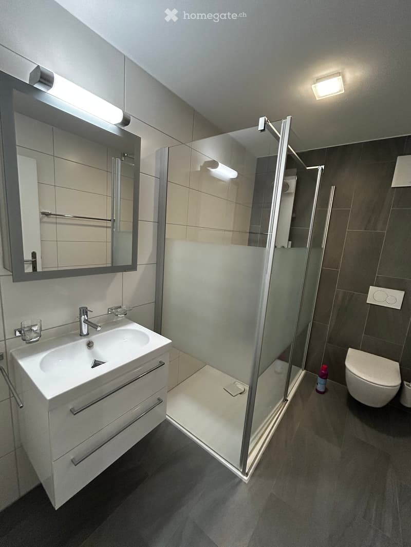 Modern bathroom with a white sink, mirror, glass shower enclosure, and toilet. Features include a sleek faucet, a built-in cabinet under the sink, and a small glass on the sink counter.