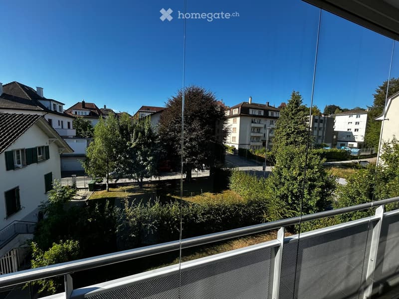 Balcony with metal railing overlooking a residential area with houses, trees, and parked cars.