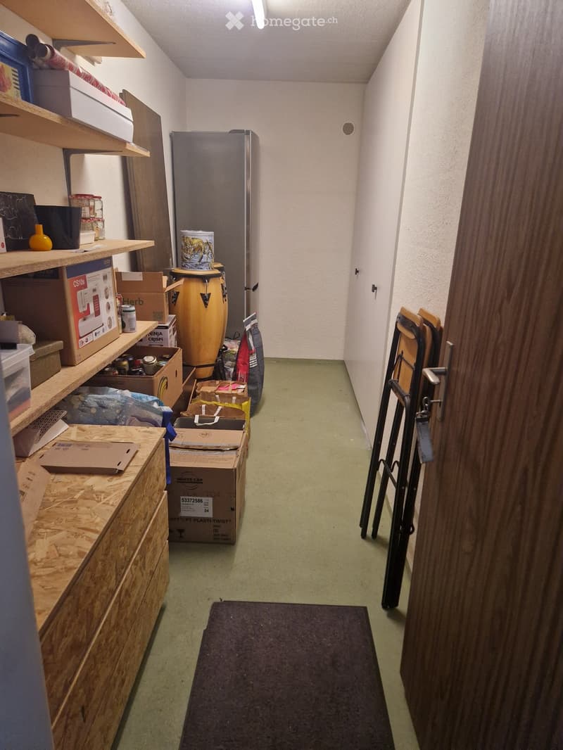 A narrow hallway with wooden shelves on one side, containing various items such as boxes, a refrigerator, and a drum. The floor is green, and there is a dark rug in the center.