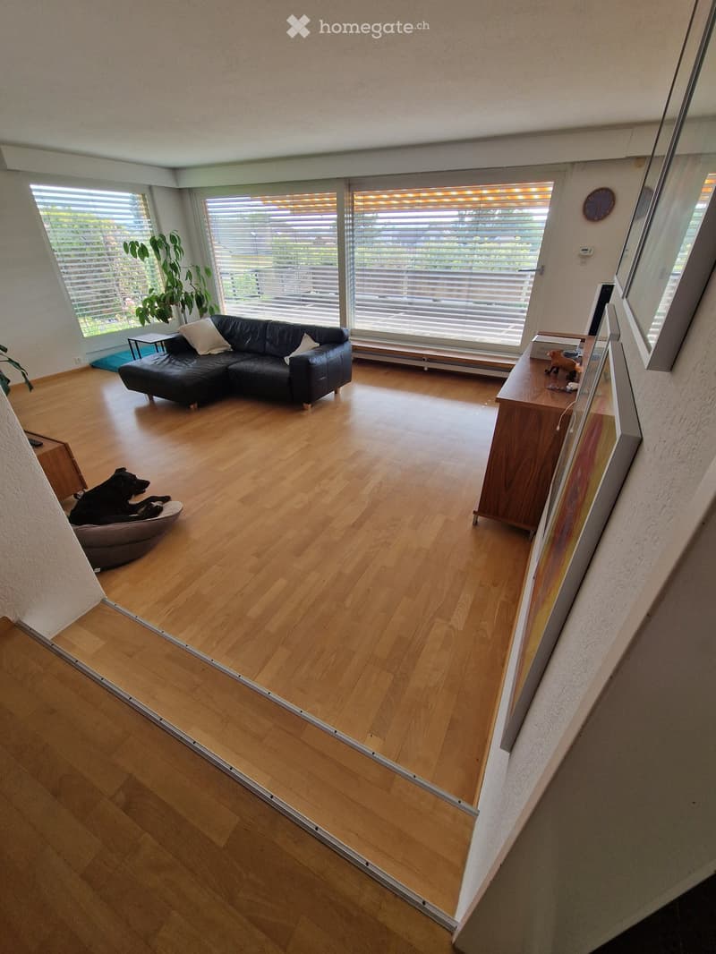 Modern living room with wooden flooring, large windows with blinds, a black sectional sofa, a small side table, a dog bed, and a plant near the window.