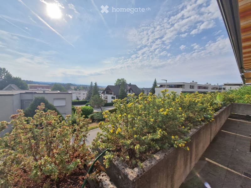 Balcony with a concrete planter box filled with yellow flowers and shrubs, overlooking a residential area with houses and trees.