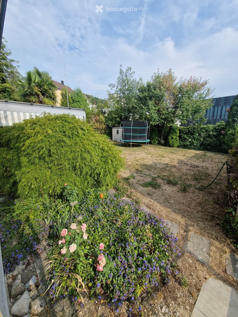 Garden with a trampoline, various plants, and flowers, surrounded by trees and a pathway.