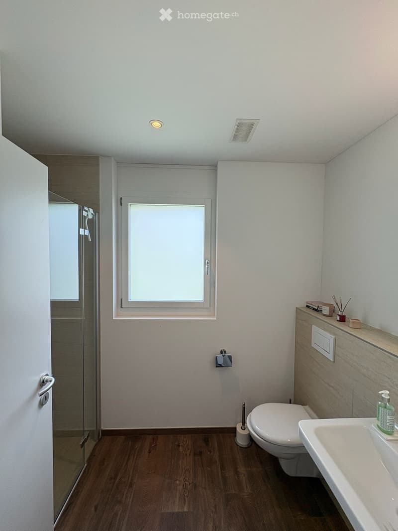 Modern bathroom with wooden flooring, white walls, a toilet, a sink with a soap dispenser, a toilet paper holder, a shower, and a window with frosted glass.